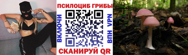как найти наркотики  Аркадак  Галлюциногенные грибы GOLDEN TEACHER 